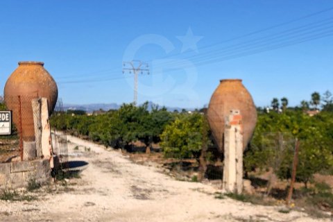 Продажа земельного участка в Дения, Аликанте, Испания 27000м2 №160215 - фото 6