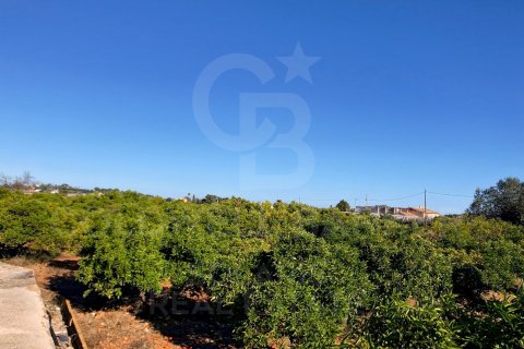 Продажа земельного участка в Дения, Аликанте, Испания 27000м2 №160215 - фото 5