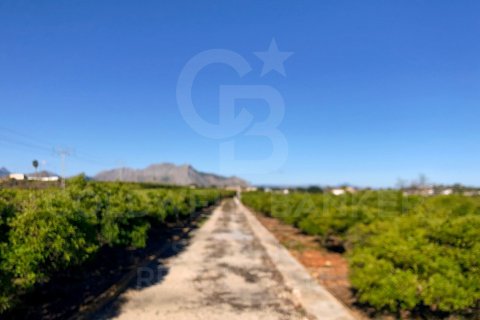 Terreno in vendita a Denia, Alicante, Spagna 27000 mq. N° 160215 - foto 11