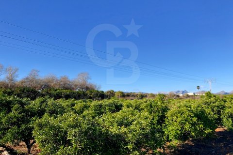 Продажа земельного участка в Дения, Аликанте, Испания 27000м2 №160215 - фото 3