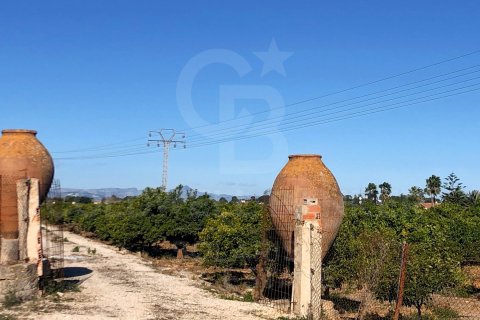 Продажа земельного участка в Дения, Аликанте, Испания 27000м2 №160215 - фото 7