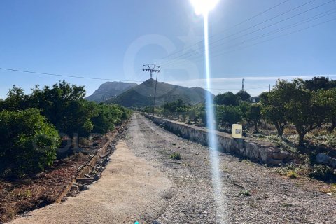 Продажа земельного участка в Дения, Аликанте, Испания 27000м2 №160215 - фото 4