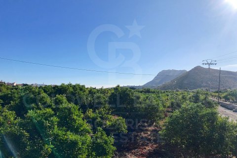 Terreno in vendita a Denia, Alicante, Spagna 27000 mq. N° 160215 - foto 5