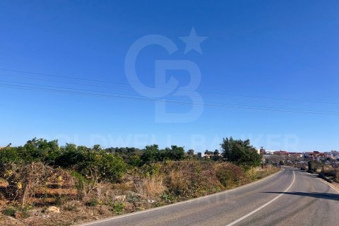 Продажа земельного участка в Дения, Аликанте, Испания 27000м2 №160215 - фото 2