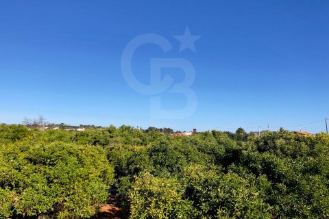 Tontti Denia, Alicante, Espanja 27000 m2 No. 160215