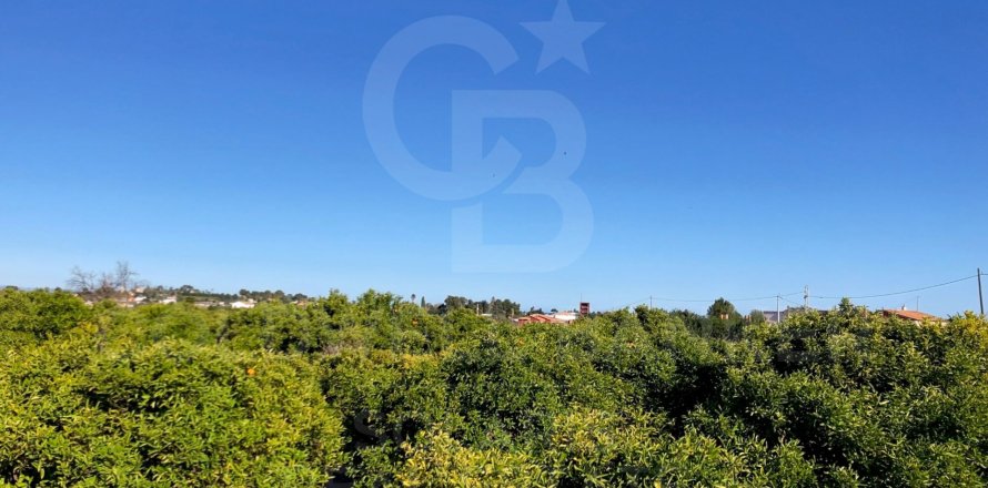 Земельный участок в Дения, Аликанте, Испания 27000м2 №160215