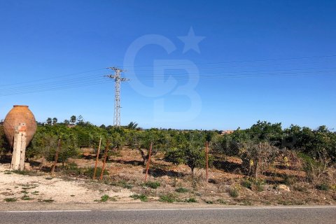 Продажа земельного участка в Дения, Аликанте, Испания 27000м2 №160215 - фото 8