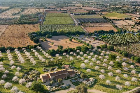 Villa en venta en Binissalem, Mallorca, España 4 dormitorios, 430 m2 No. 143436 - foto 16