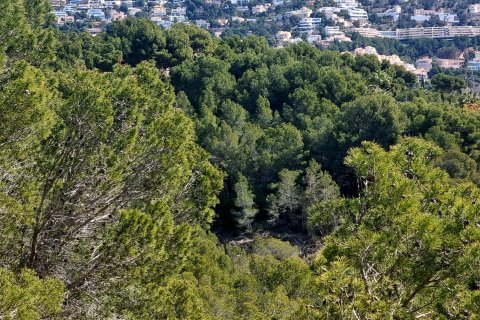 Land plot for sale in Galera de las Palmeras, Alicante, Spain No. 165542 - photo 16