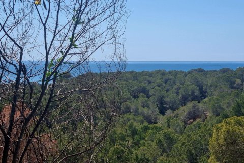 Land plot for sale in Galera de las Palmeras, Alicante, Spain No. 165542 - photo 5