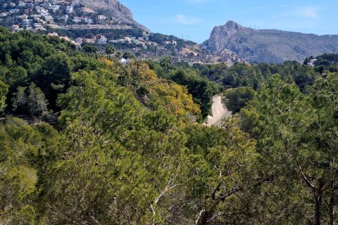 Land plot for sale in Galera de las Palmeras, Alicante, Spain No. 165542 - photo 15