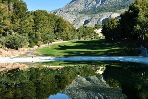 Land plot for sale in Galera de las Palmeras, Alicante, Spain No. 165542 - photo 30