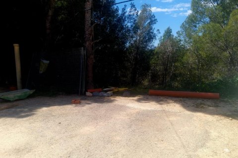 Land plot for sale in Galera de las Palmeras, Alicante, Spain No. 165542 - photo 3