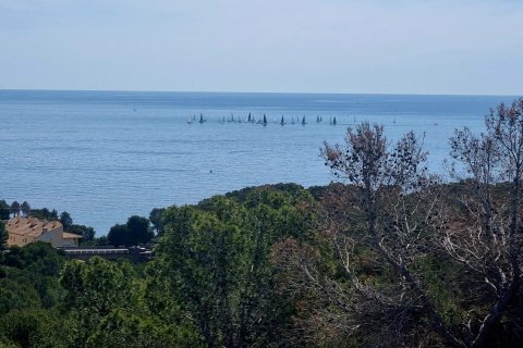 Land plot for sale in Galera de las Palmeras, Alicante, Spain No. 165542 - photo 21