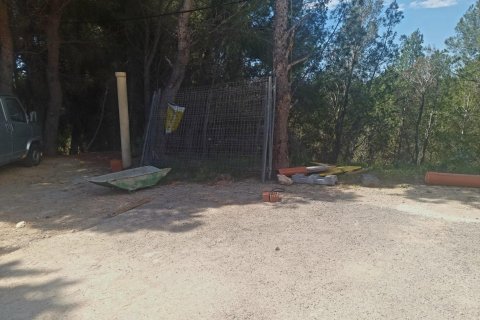 Land plot for sale in Galera de las Palmeras, Alicante, Spain No. 165542 - photo 4