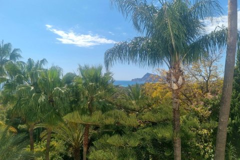 Land plot for sale in Galera de las Palmeras, Alicante, Spain No. 165542 - photo 18