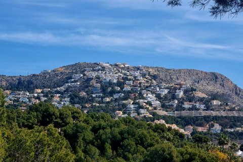 Land plot for sale in Galera de las Palmeras, Alicante, Spain No. 165542 - photo 19