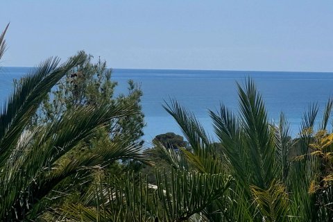 Tomt i Galera de las Palmeras, Alicante, Spanien Nr. 165542