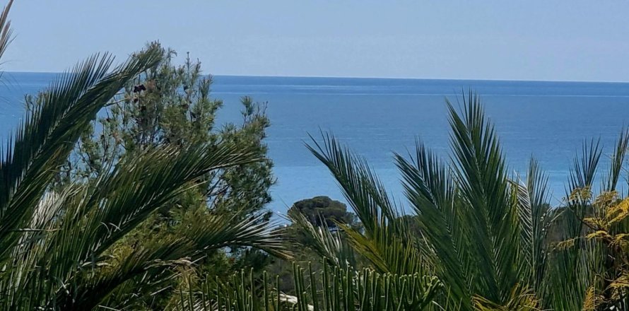 Land plot in Galera de las Palmeras, Alicante, Spain No. 165542