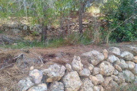 Land plot for sale in Galera de las Palmeras, Alicante, Spain No. 165542 - photo 9