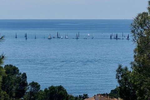 Land plot for sale in Galera de las Palmeras, Alicante, Spain No. 165542 - photo 20