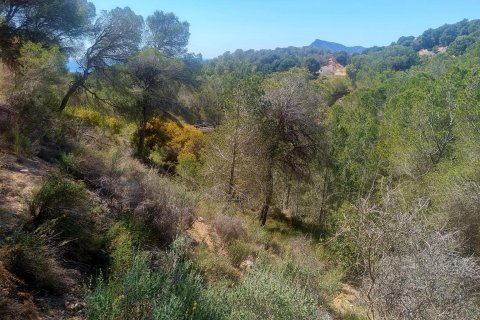 Land plot for sale in Galera de las Palmeras, Alicante, Spain No. 165542 - photo 13