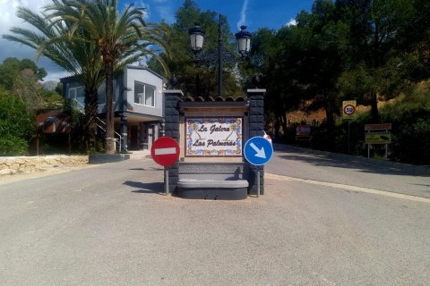 Land plot for sale in Galera de las Palmeras, Alicante, Spain No. 165542 - photo 2