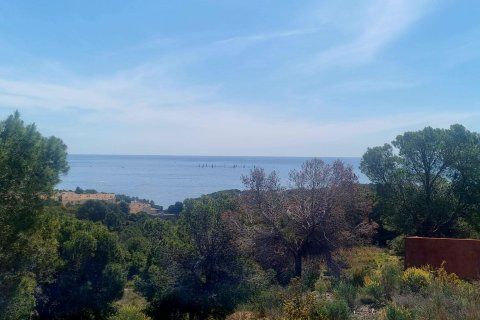 Land plot for sale in Galera de las Palmeras, Alicante, Spain No. 165542 - photo 22