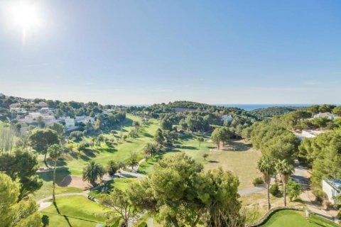 Land plot for sale in Galera de las Palmeras, Alicante, Spain No. 165542 - photo 29