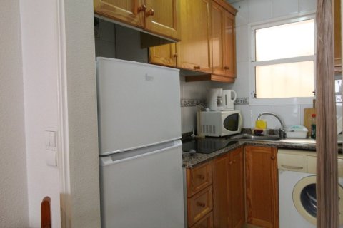 Apartment for rent in Torrevieja, Alicante, Spain 1 bedroom, 43 sq.m. No. 165130 - photo 7
