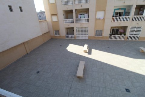 Apartment for rent in Torrevieja, Alicante, Spain 1 bedroom, 43 sq.m. No. 165130 - photo 14