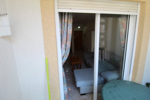 Apartment for rent in Torrevieja, Alicante, Spain 1 bedroom, 43 sq.m. No. 165130 - photo 13