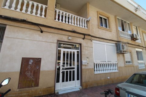 Apartment for rent in Torrevieja, Alicante, Spain 1 bedroom, 43 sq.m. No. 165130 - photo 16