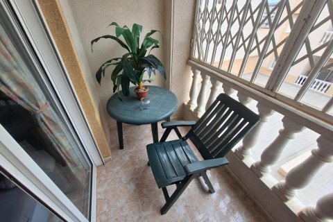 Apartment for rent in Torrevieja, Alicante, Spain 1 bedroom, 43 sq.m. No. 165130 - photo 11