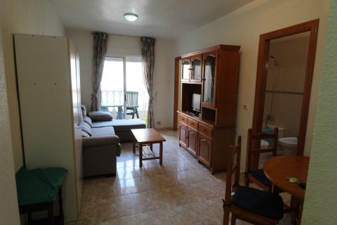 Apartment for rent in Torrevieja, Alicante, Spain 1 bedroom, 43 sq.m. No. 165130 - photo 3