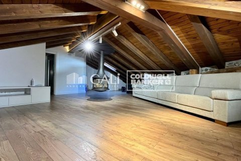 House for rent in Principado De Andorra (Ninguna Poblacion Tiene C.P.), Lleida, Spain 3 bedrooms, 200 sq.m. No. 160453 - photo 14