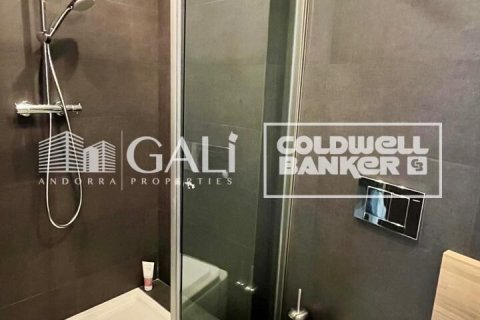 House for rent in Principado De Andorra (Ninguna Poblacion Tiene C.P.), Lleida, Spain 3 bedrooms, 200 sq.m. No. 160453 - photo 19
