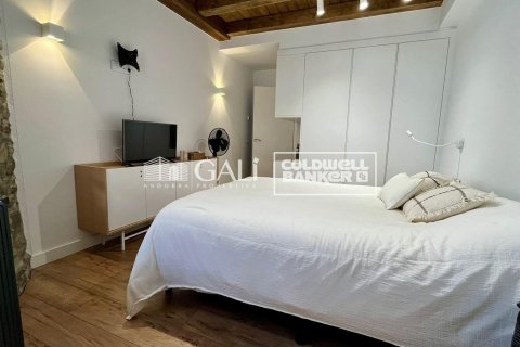 House for rent in Principado De Andorra (Ninguna Poblacion Tiene C.P.), Lleida, Spain 3 bedrooms, 200 sq.m. No. 160453 - photo 11