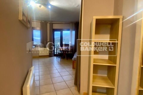 Apartment à louer à Principado De Andorra (Ninguna Poblacion Tiene C.P.), Lleida, Espagne, 36 m2 No. 160450 - photo 8