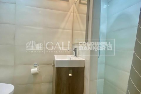 Apartment à louer à Principado De Andorra (Ninguna Poblacion Tiene C.P.), Lleida, Espagne, 36 m2 No. 160450 - photo 10