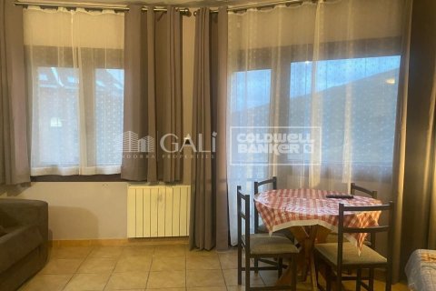 Apartment à louer à Principado De Andorra (Ninguna Poblacion Tiene C.P.), Lleida, Espagne, 36 m2 No. 160450 - photo 2