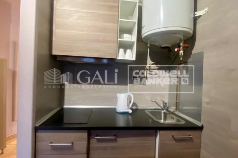 Apartment à louer à Principado De Andorra (Ninguna Poblacion Tiene C.P.), Lleida, Espagne, 36 m2 No. 160450 - photo 7