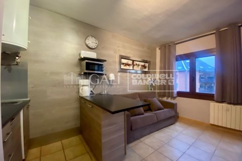 Apartment à louer à Principado De Andorra (Ninguna Poblacion Tiene C.P.), Lleida, Espagne, 36 m2 No. 160450 - photo 5