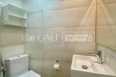 Apartment à louer à Principado De Andorra (Ninguna Poblacion Tiene C.P.), Lleida, Espagne, 36 m2 No. 160450 - photo 9