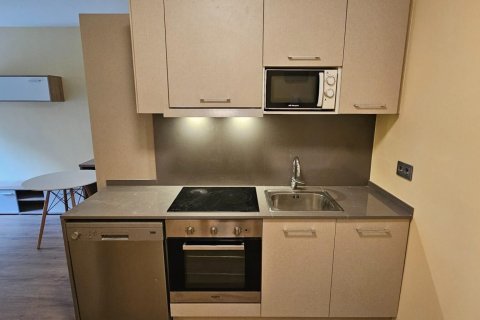 Appartamento in affitto a Principado De Andorra (Ninguna Poblacion Tiene C.P.), Lleida, Spagna 1 camera da letto, 55 mq. N° 160452 - foto 4