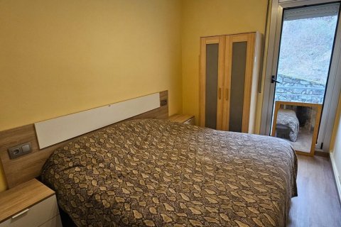 Appartamento in affitto a Principado De Andorra (Ninguna Poblacion Tiene C.P.), Lleida, Spagna 1 camera da letto, 55 mq. N° 160452 - foto 5