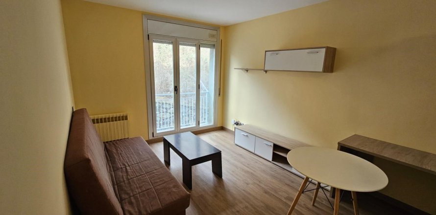 Appartamento a Principado De Andorra (Ninguna Poblacion Tiene C.P.), Lleida, Spagna 1 camera da letto, 55 mq. N° 160452