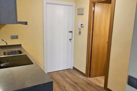 Appartamento in affitto a Principado De Andorra (Ninguna Poblacion Tiene C.P.), Lleida, Spagna 1 camera da letto, 55 mq. N° 160452 - foto 6