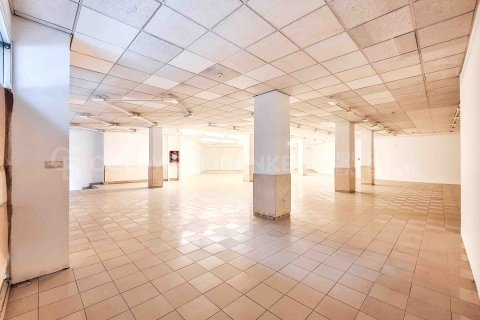 Gewerbeimmobilien zur Miete in Pontevedra, Spanien 365 m2 Nr. 160451 - Foto 4