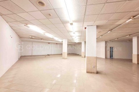 Gewerbeimmobilien zur Miete in Pontevedra, Spanien 365 m2 Nr. 160451 - Foto 6